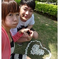 SAM_5142_副本.jpg