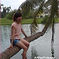 SAM_5434_副本.jpg