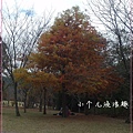 SAM_6991_副本.jpg