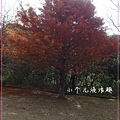 SAM_7008_副本.jpg