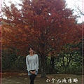 SAM_7013_副本.jpg
