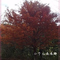 SAM_7015_副本.jpg