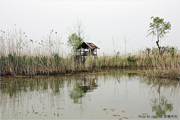 Anzali Lagoon007.jpg