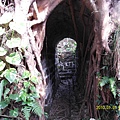 SAM_3840