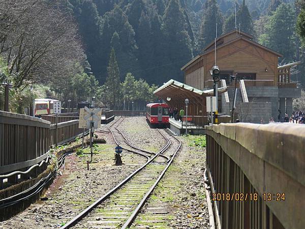 20180218 阿里山塔山步道 大塔山_180220_0057.jpg