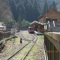 20180218 阿里山塔山步道 大塔山_180220_0057.jpg