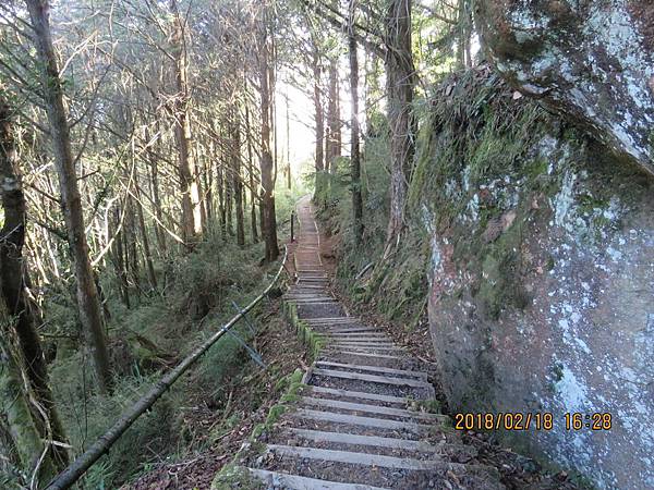 20180218 阿里山塔山步道 大塔山_180220_0024.jpg