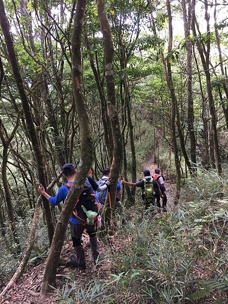 高台山-島田三山_180529_0119.jpg