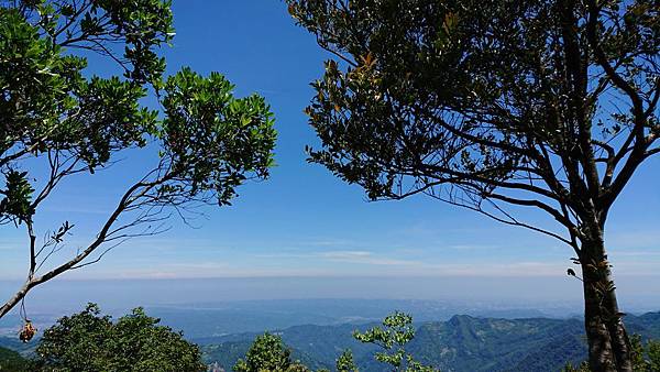 高台山-島田三山_180529_0027.jpg