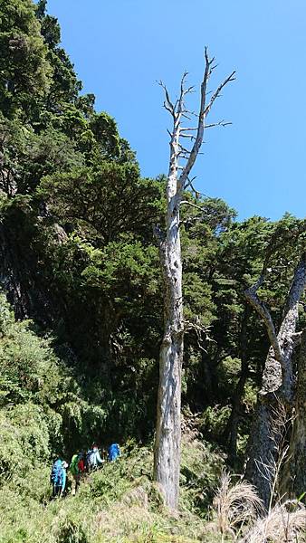 20181002-5 玉山行_181007_0082.jpg