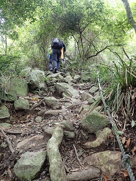 201968谷關第六雄-白毛山_190609_0256.jpg