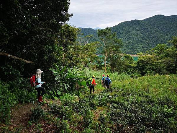 201979小格頭獅頭山_190707_0067.jpg