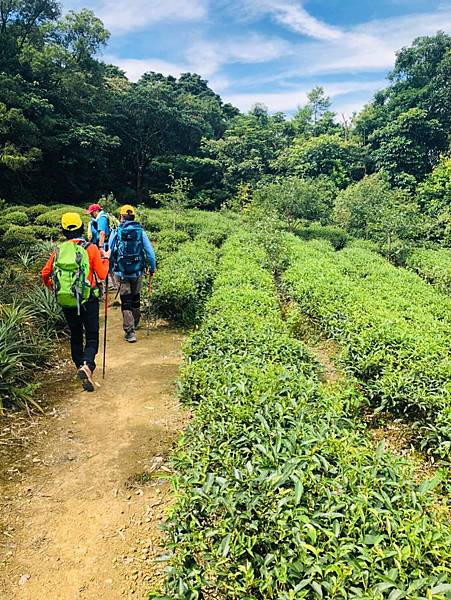 201979小格頭獅頭山_190707_0033.jpg