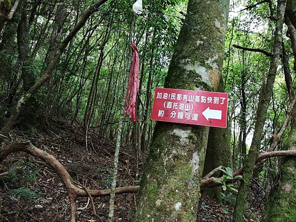 20190714新竹五峰 民都有(面托油)山_190716_0038.jpg