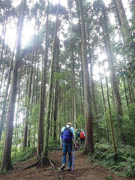 20197月28日五峯油羅山_190729_0056.jpg