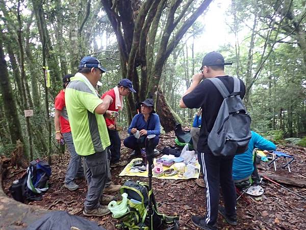 20197月28日五峯油羅山_190729_0023.jpg