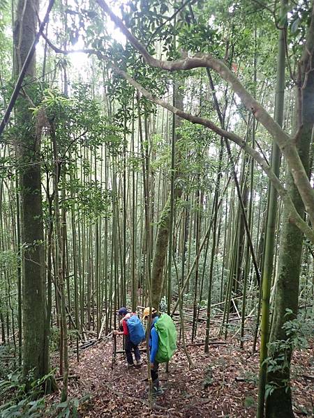 20197月28日五峯油羅山_190729_0021.jpg