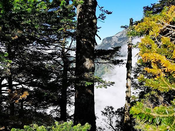 20191107～09玉山群峰之二(小王)_191114_0158.jpg