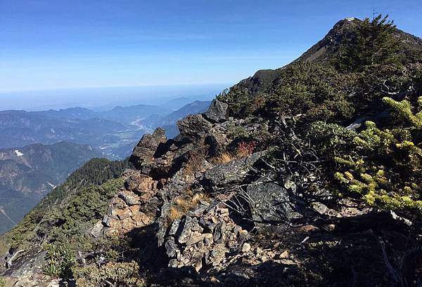 2019117-10 玉山順遊阿里山（玉華）_191114_0076.jpg