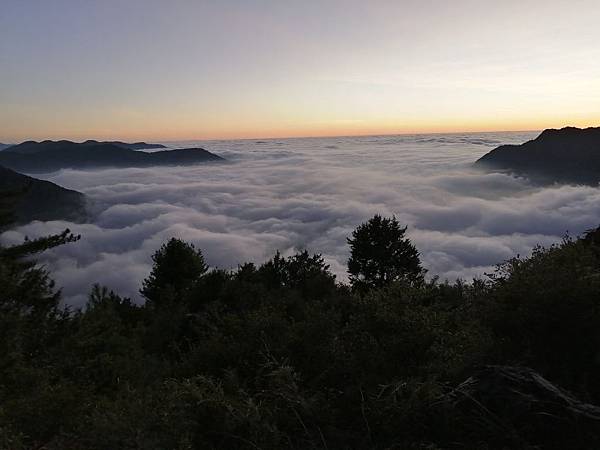 20191178～1110玉山主北西峰＋阿里山_191116_0019.jpg