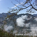 2020129信義望鄉部落-獵人古道+望美山_200130_0057.jpg