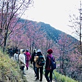 20200301新竹尖山 斯馬庫斯部落神木_200306_0271.jpg