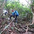 20200411 尖山 尖山登山步_200412_0027.jpg