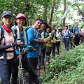 2020419雙溪崩山坑古道前段＋柑腳山＋中坑古道_200420_0262.jpg