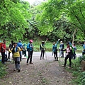 2020419雙溪崩山坑古道前段＋柑腳山＋中坑古道_200420_0264.jpg