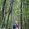 202052 八仙山_200509_0507.jpg