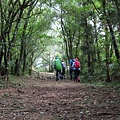 2020614雙溪虎豹潭崩山坑古道後段保成坑古道_200617_0104.jpg