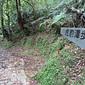 2020614雙溪虎豹潭崩山坑古道後段保成坑古道_200617_0137.jpg