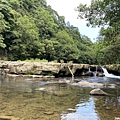 2020614雙溪虎豹潭崩山坑古道後段保成坑古道_200617_0145.jpg