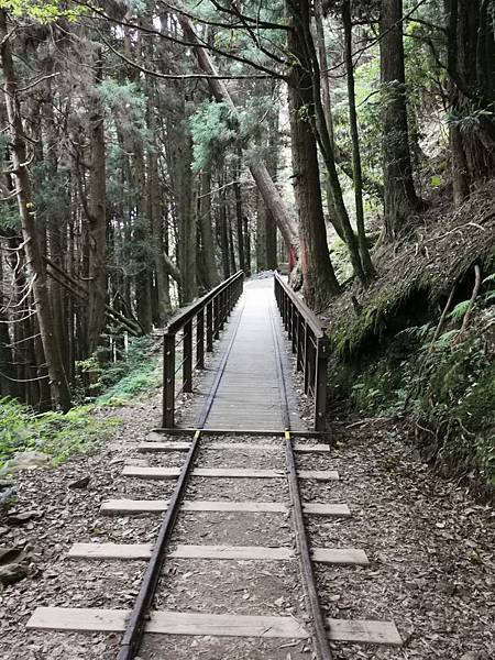 20200620 特富野 阿里山青年活動中心_200623_0029.jpg