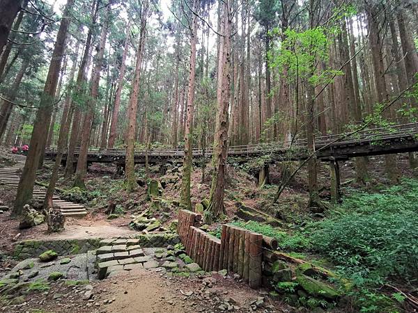 20200620 特富野 阿里山青年活動中心_200623_0015.jpg