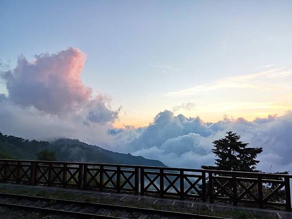 20200620 特富野 阿里山青年活動中心_200623_0009.jpg