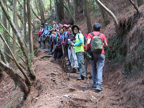 2020627 谷關七雄～老二馬崙山_200630_348.jpg