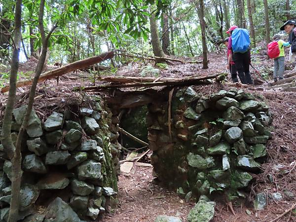 2020627 谷關七雄～老二馬崙山_200630_339.jpg