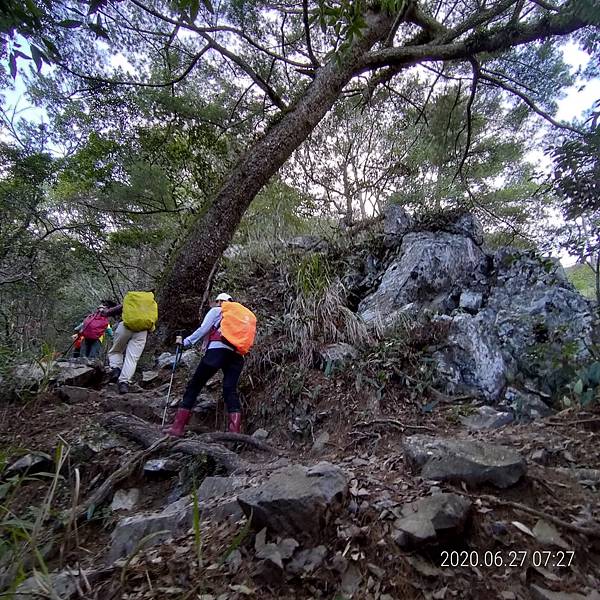 2020627 谷關七雄～老二馬崙山_200630_117.jpg