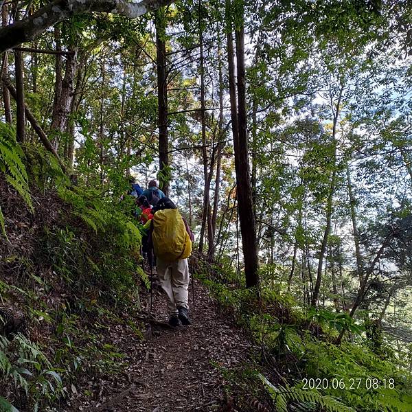 2020627 谷關七雄～老二馬崙山_200630_130.jpg