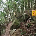 20201018 上島山 （鳥嘴山）_201022_10.jpg