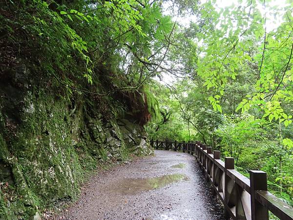 20201010桃園復興 拉拉山神木步道_201025_18.jpg