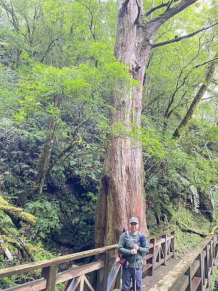 20201010桃園復興 拉拉山神木步道_201025_28.jpg