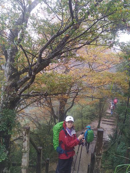 IMG_20201108_101240.jpg