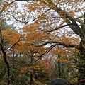 2020118，9 太平山翠峰湖_201111_177.jpg