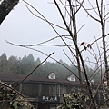 2020118，9 太平山翠峰湖_201111_124.jpg