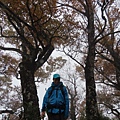 2020118，9 太平山翠峰湖_201111_0.jpg