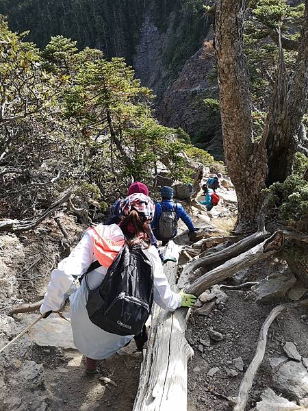 20201127 武陵四秀Day 2 品田，桃山_201202_421.jpg