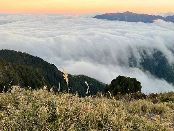 20201127 武陵四秀Day 2 品田，桃山_201202_221.jpg