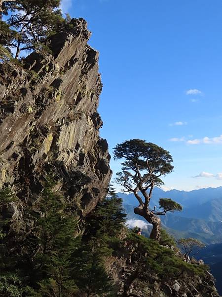 20201127 武陵四秀Day 2 品田，桃山_201202_18.jpg